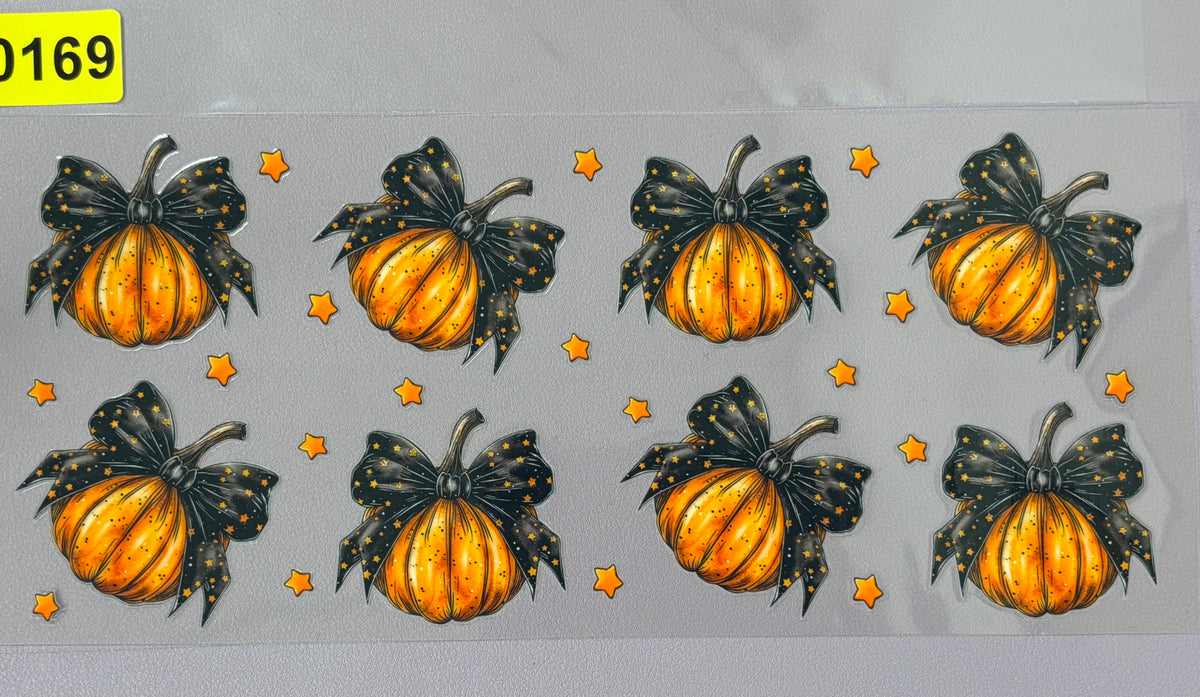 Fall 0169