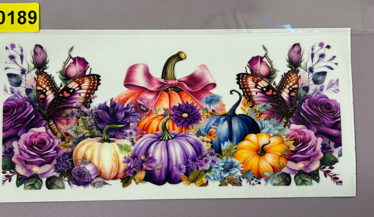 Fall 0189