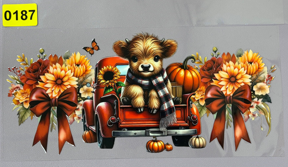 Fall 0187